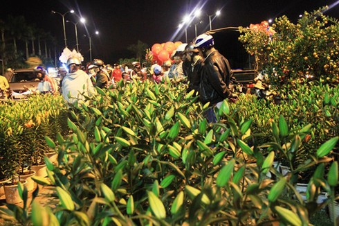 Bán tháo hoa cảnh Tết trước Giao Thừa - ảnh 3